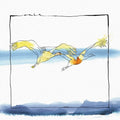 Vola |