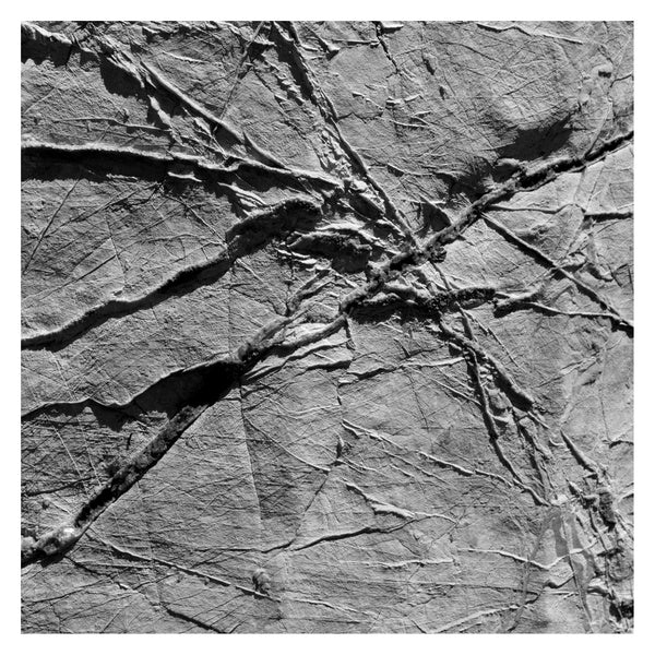 Arachnesound |