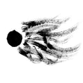 Dissidentova |
