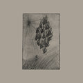 Locusts |