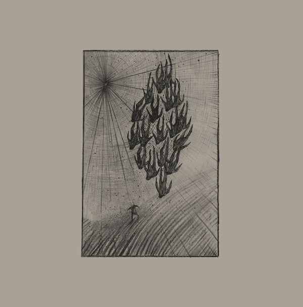 Locusts |