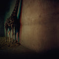 Alien Ensemble 2 |