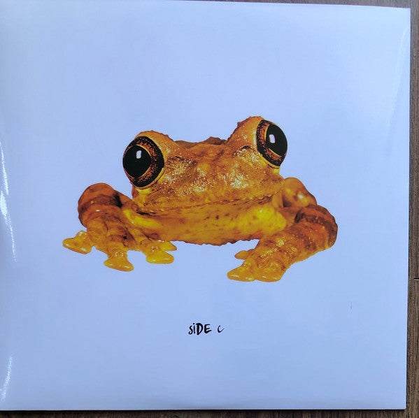 Frogstomp | Mint (M) Mint (M)