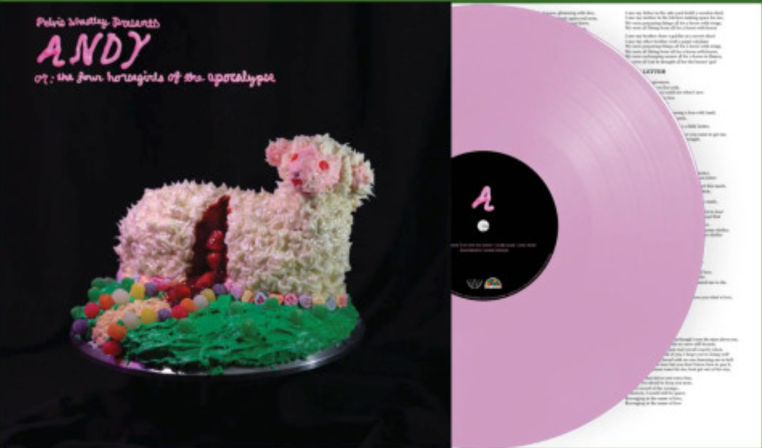 Andy, Or: The Four Horsegirls Of The Apocalypse (Pink Frosting VINYL) | Mint (M) Mint (M)