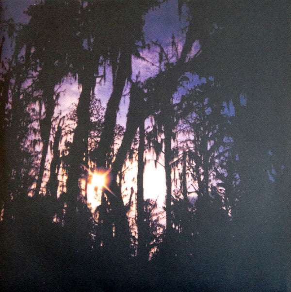 Bloom (VINYL)(2023) | Mint (M) Mint (M)