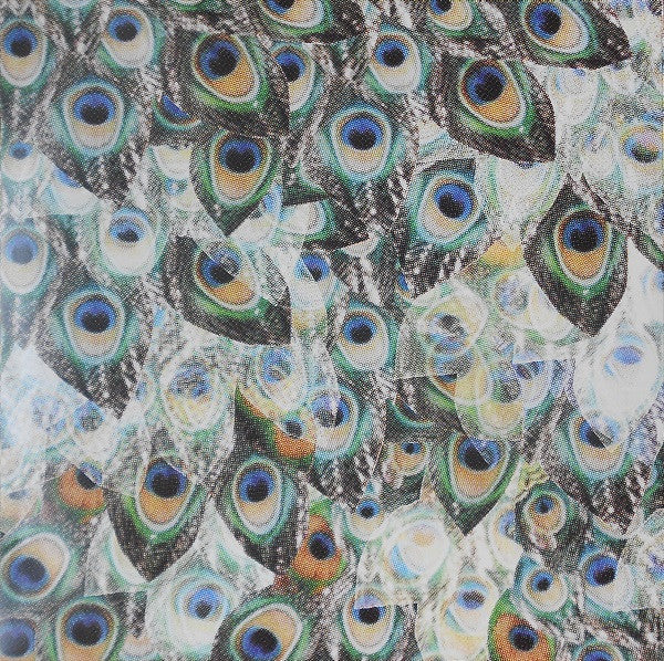Camera Obscura - My Maudlin Career | Mint (M) Mint (M)
