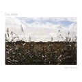 And The Sun (VINYL) | Mint (M) Mint (M)