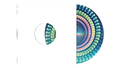 Moon Music (ZOETROPE DISC) | Mint (M) Mint (M)