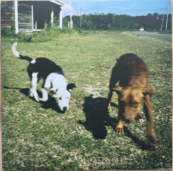 Dogs On Acid (COLOR VINYL) | Mint (M) Mint (M)
