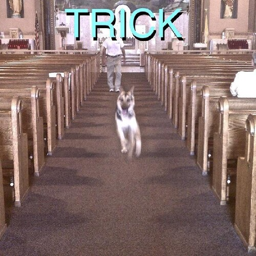 Trick (BONUS 7") | Mint (M) Mint (M)