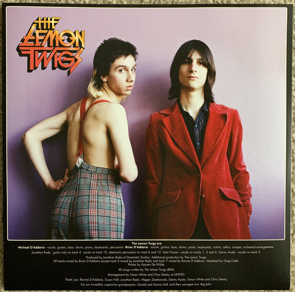 Do Hollywood (VINYL) | Mint (M) Mint (M)