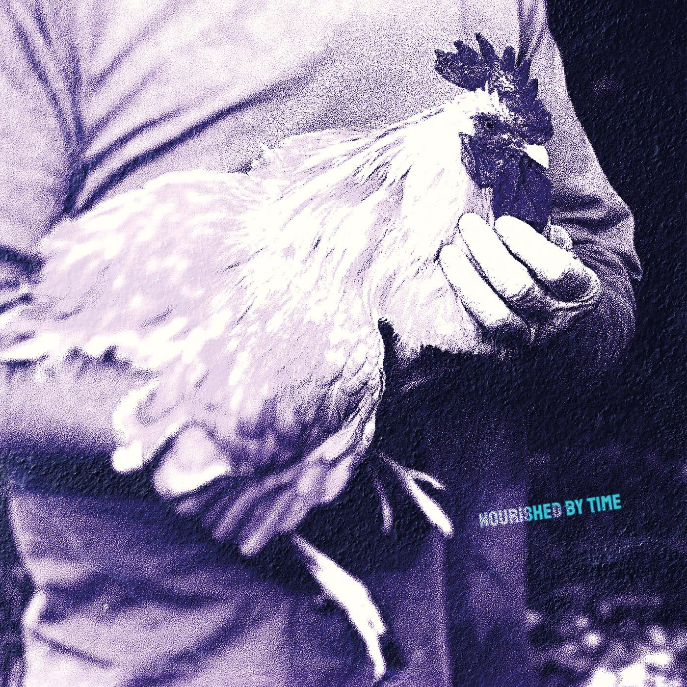 Catching Chickens | Mint (M) Mint (M)