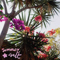 Summer Salt - Campanita (VINYL) | Near Mint (NM) Near Mint (NM)