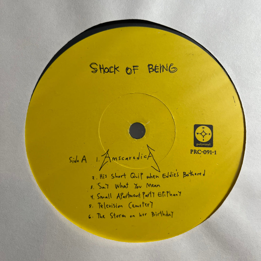 Make Believe - Shock Of Being (VINYL) | Near Mint (NM) Near Mint (NM)