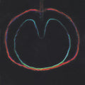 XTC - Wasp Star (Apple Venus Volume 2) (CD) | Excellent (EX) Excellent (EX)