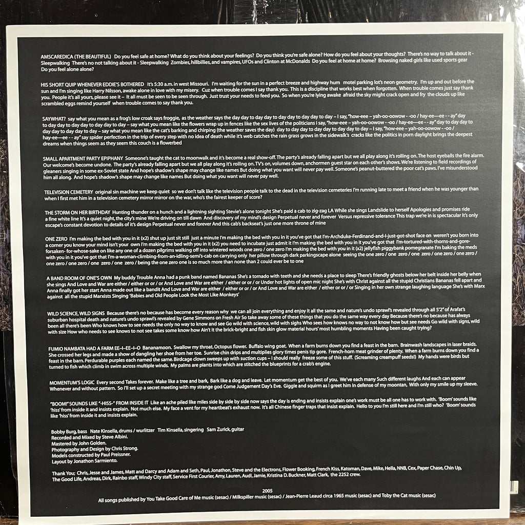 Make Believe - Shock Of Being (VINYL) | Near Mint (NM) Near Mint (NM)