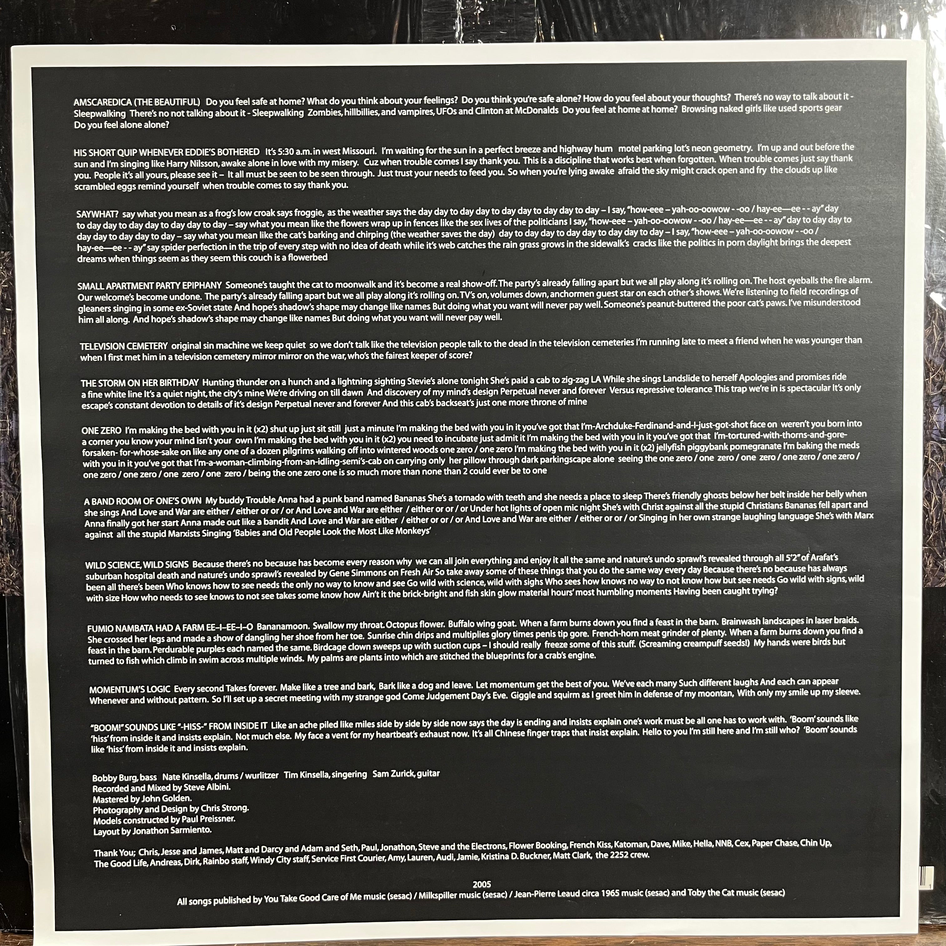 Make Believe - Shock Of Being (VINYL) | Near Mint (NM) Near Mint (NM)