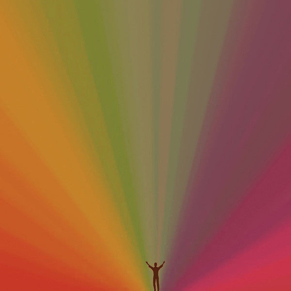 Edward Sharpe And The Magnetic Zeros - Edward Sharpe And The Magnetic Zeros (VINYL) | Near Mint (NM) Near Mint (NM)