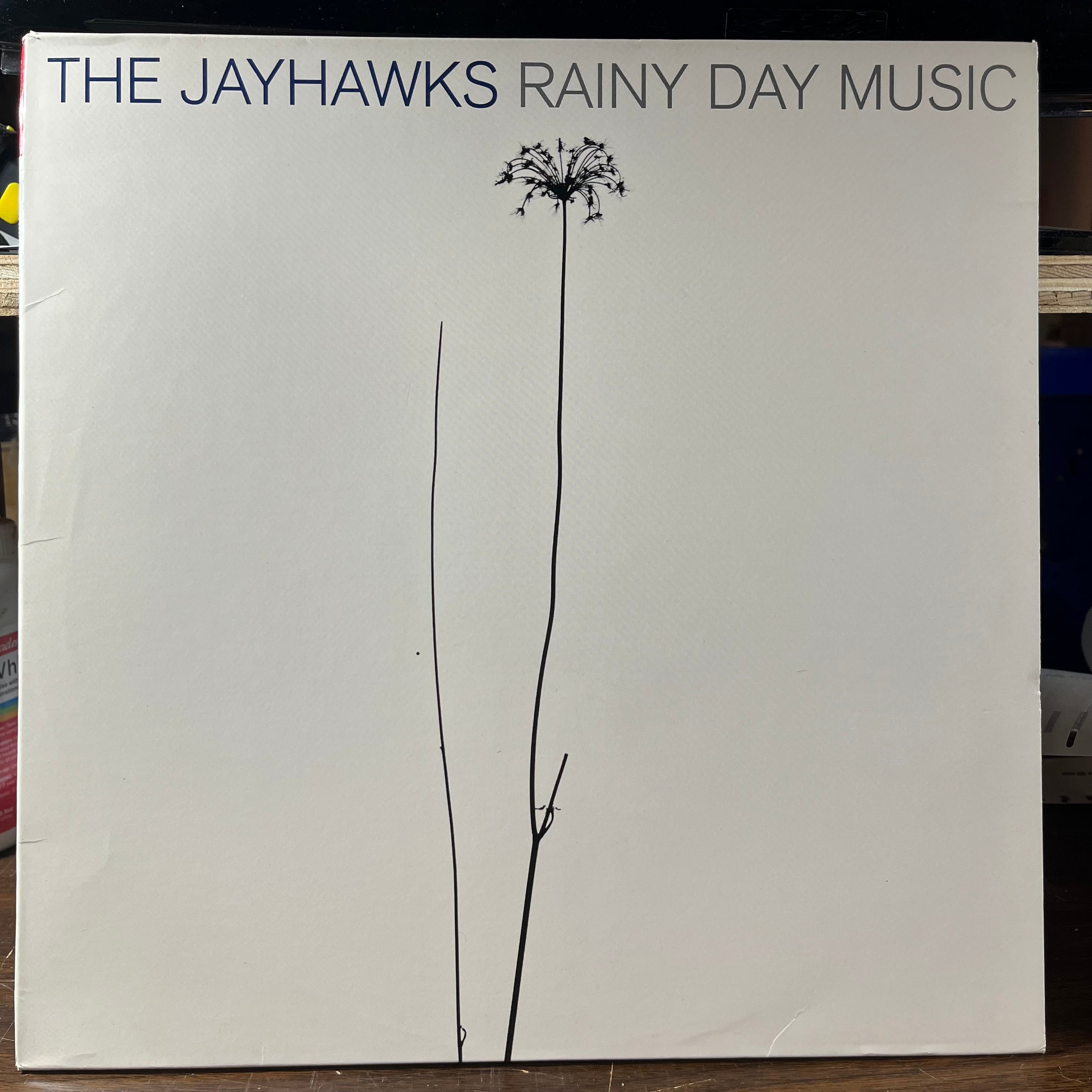 Rainy Day Music (2xVINYL) | Near Mint (NM or M-) Excellent+ (EX+)