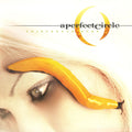 A Perfect Circle - Thirteenth Step | Mint (M) Mint (M)