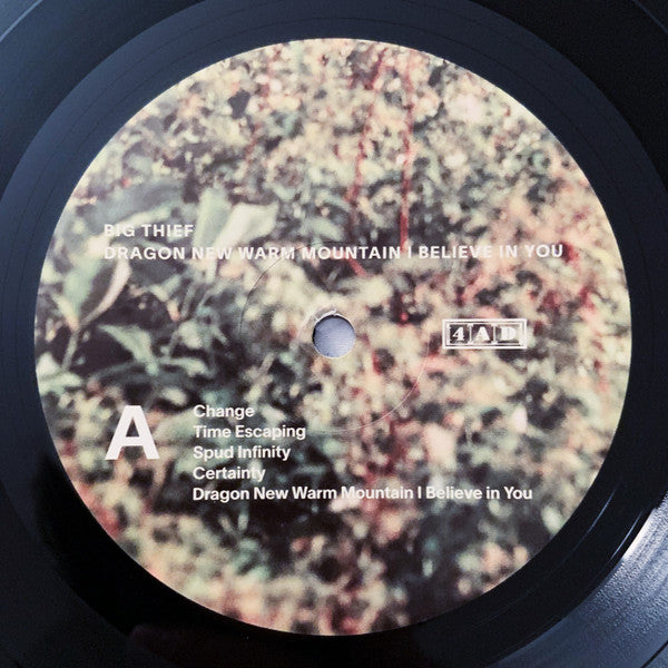 Big Thief - Dragon New Warm Mountain I Believe In You | Mint (M) Mint (M)