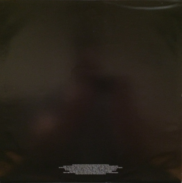 Merriweather Post Pavilion (2xVINYL) | Mint (M) Mint (M)