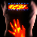 Headless Chickens - Body Blow | Near Mint (NM) Near Mint (NM)