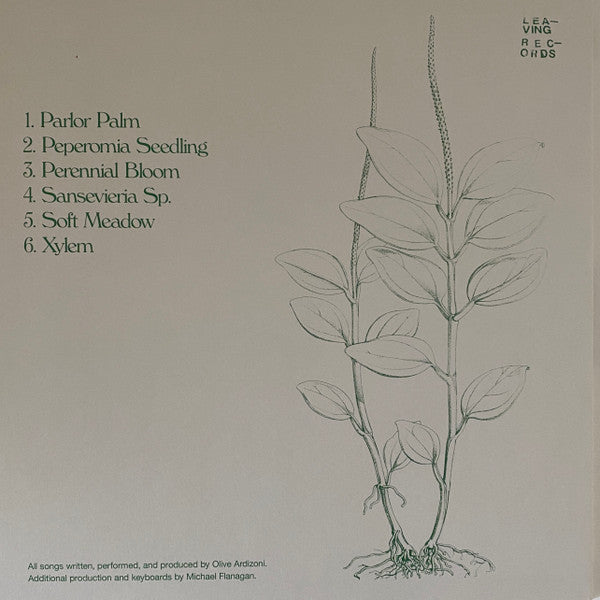 Six Songs For Invisible Gardens | Mint (M) Mint (M)