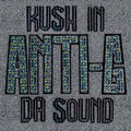 Kush in da Sound |