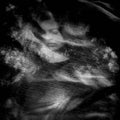 The Bedroom Slant |