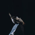 Are We All Alone or Just Overwhelmed? |