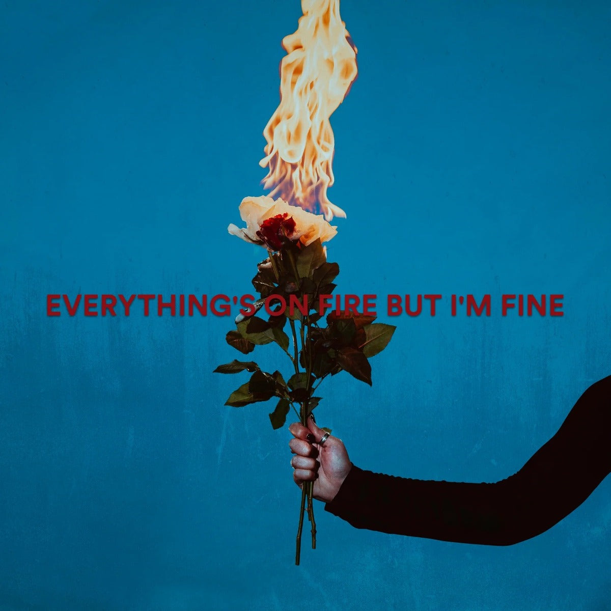 As December Falls - Everything's On Fire But I'm Fine [Explicit Content] (Red Marble Colored Vinyl) |