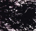 Presences Of Absences |