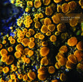 Cells #2 |