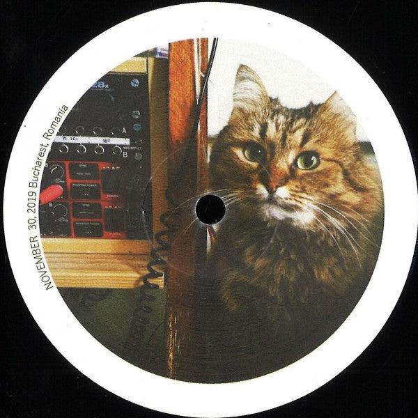 Cool Cat EP | Mint (M) Generic