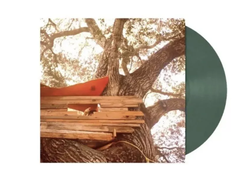 Waiting To Spill (Limited Dark Green Colored Vinyl) | Mint (M) Mint (M)