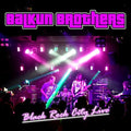 Black Rock City Live |