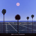 Moon & Palms |
