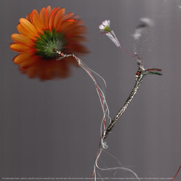 43°C |