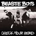 Beastie Boys - Check Your Head (2LP 180g Vinyl) | Mint (M) Mint (M)