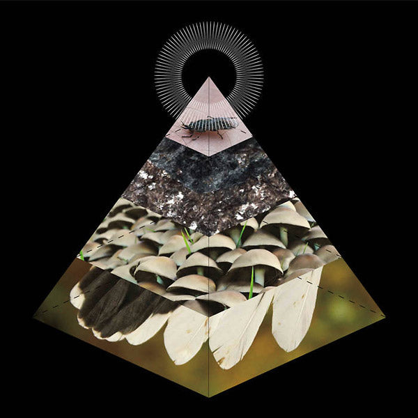 Apophenia |