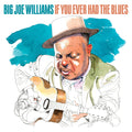 If You Ever Had The Blues |