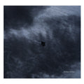 Shenzhou (VINYL) | Mint (M) Mint (M)