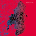 BIRDSTRIKING - Birdstriking (VINYL) | Mint (M) Mint (M)