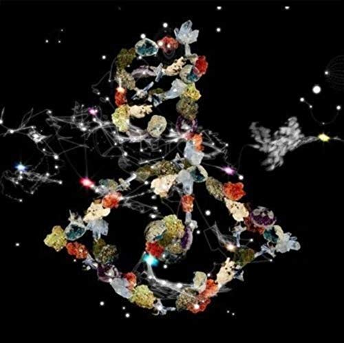 Björk - Biophilia (2xVINYL) | Mint (M) Mint (M)