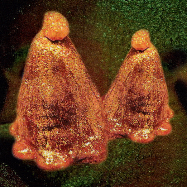 Oocyte Oil & Stolen Androgens | Mint (M) Mint (M)