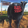 Blink 182 - Dude Ranch | Mint (M) Mint (M)
