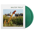 Common Ground (2x GREEN TRANSLUCENT VINYL) | Mint (M) Mint (M)