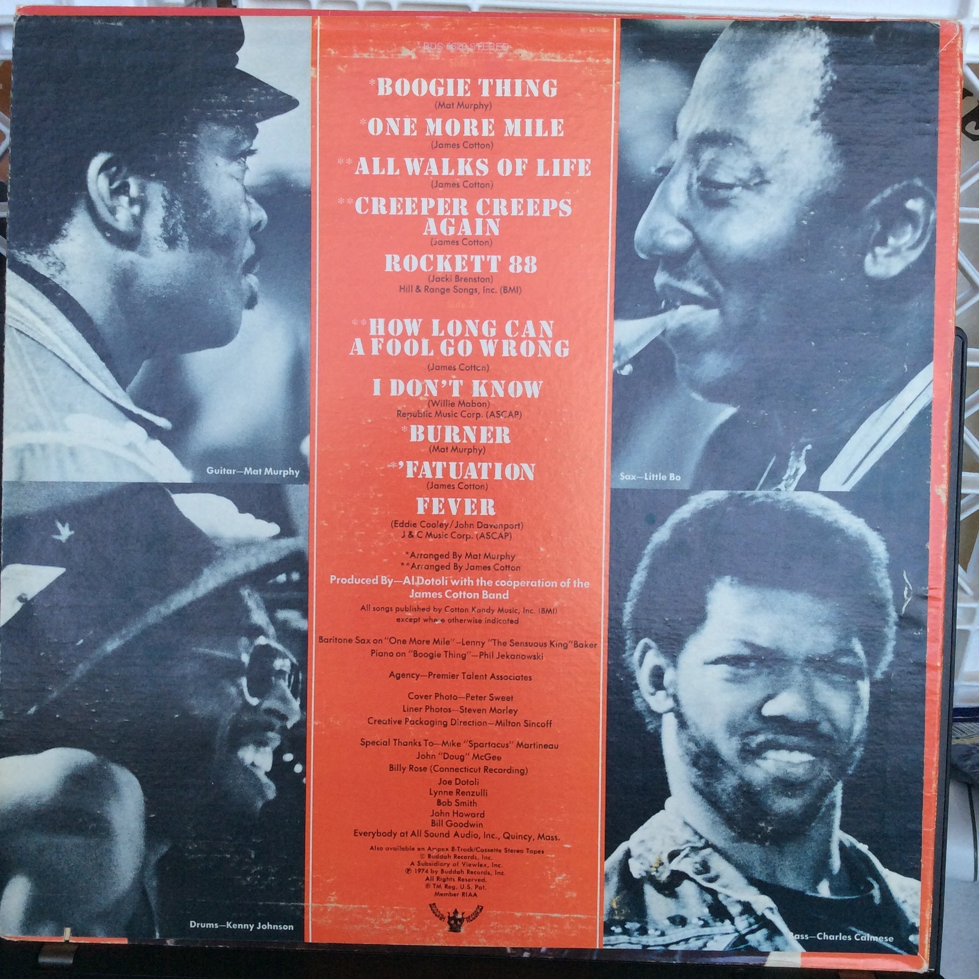 The James Cotton Band - 100% Cotton (VINYL) | Near Mint- (NM-) Very Good Plus (VG+)