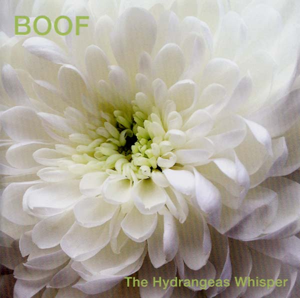 The Hydrangeas Whisper |